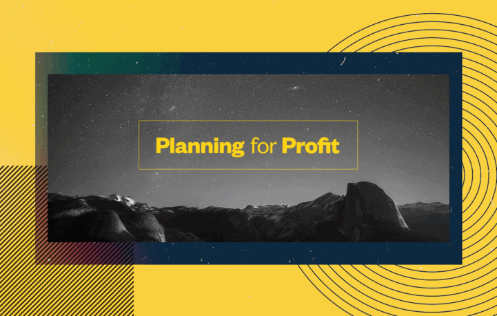 Planning for Profit