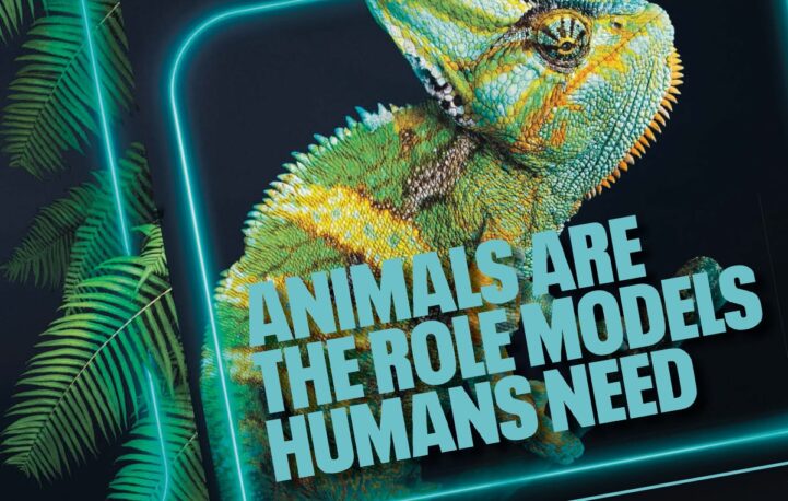 TIER’s open letter from the animal kingdom hits Evening Standard cover wrap