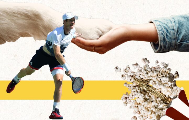 Teddy, tennis and tiny houses: five things we liked in news brands this week