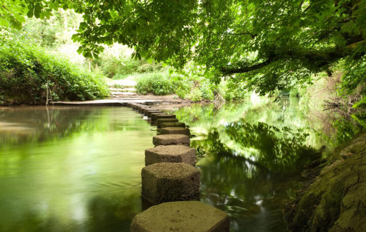 Victory for Times waterways campaign as firms promise more transparency