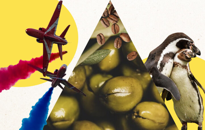 Chicks, cockpits and coffee: five things we liked in news brands this week