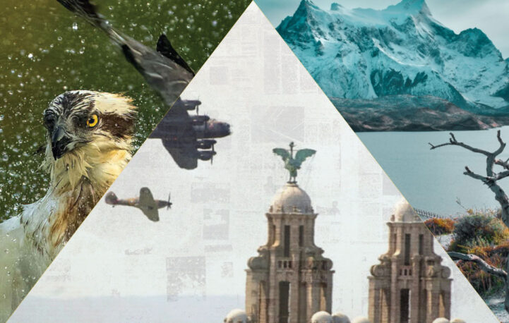 The week in pictures