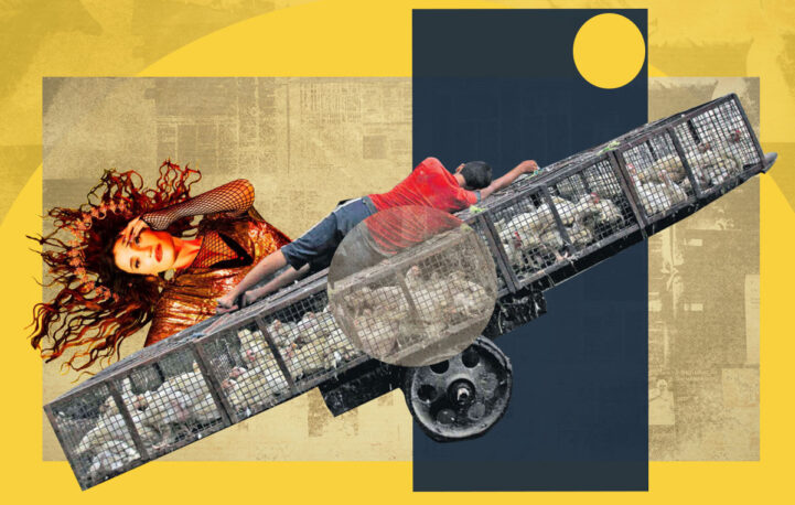 The week in pictures