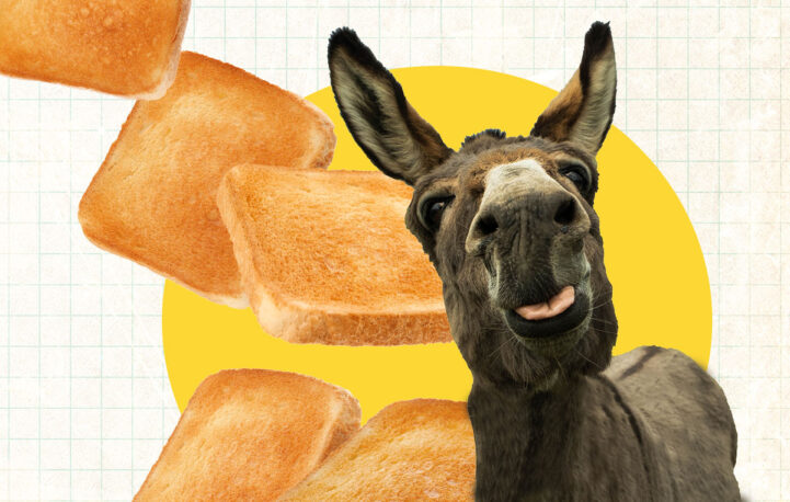 Ballrooms and bake offs: five things we liked in news brands this week