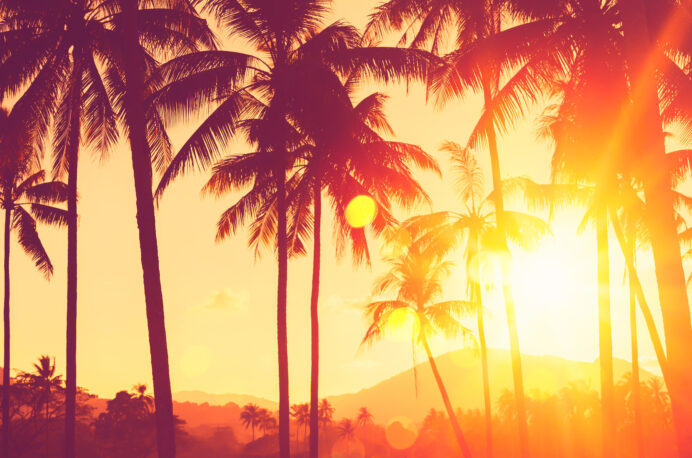 Ready for take off? Brand partnerships in weekend supplements inspire the next big adventure