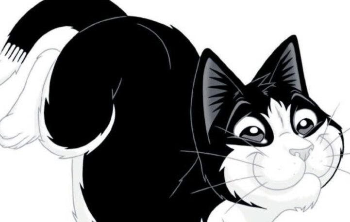 Feline lucky? Purina and The Standard competition celebrates mischievous moggies