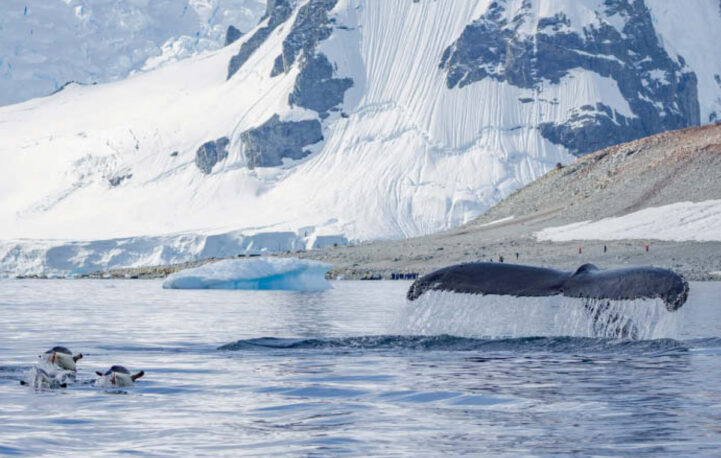 HX Expeditions and The Times LUXX take readers on Antarctic adventure