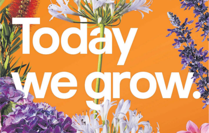 B&Q and The Sun make bloomin’ marvellous gardens easy-peasy